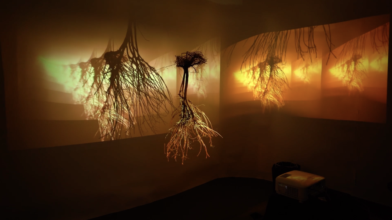 Opening Night Reception: LAB MFA Rhizomorph