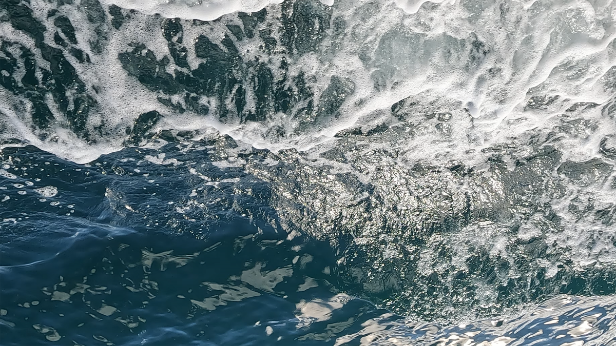 Open Water