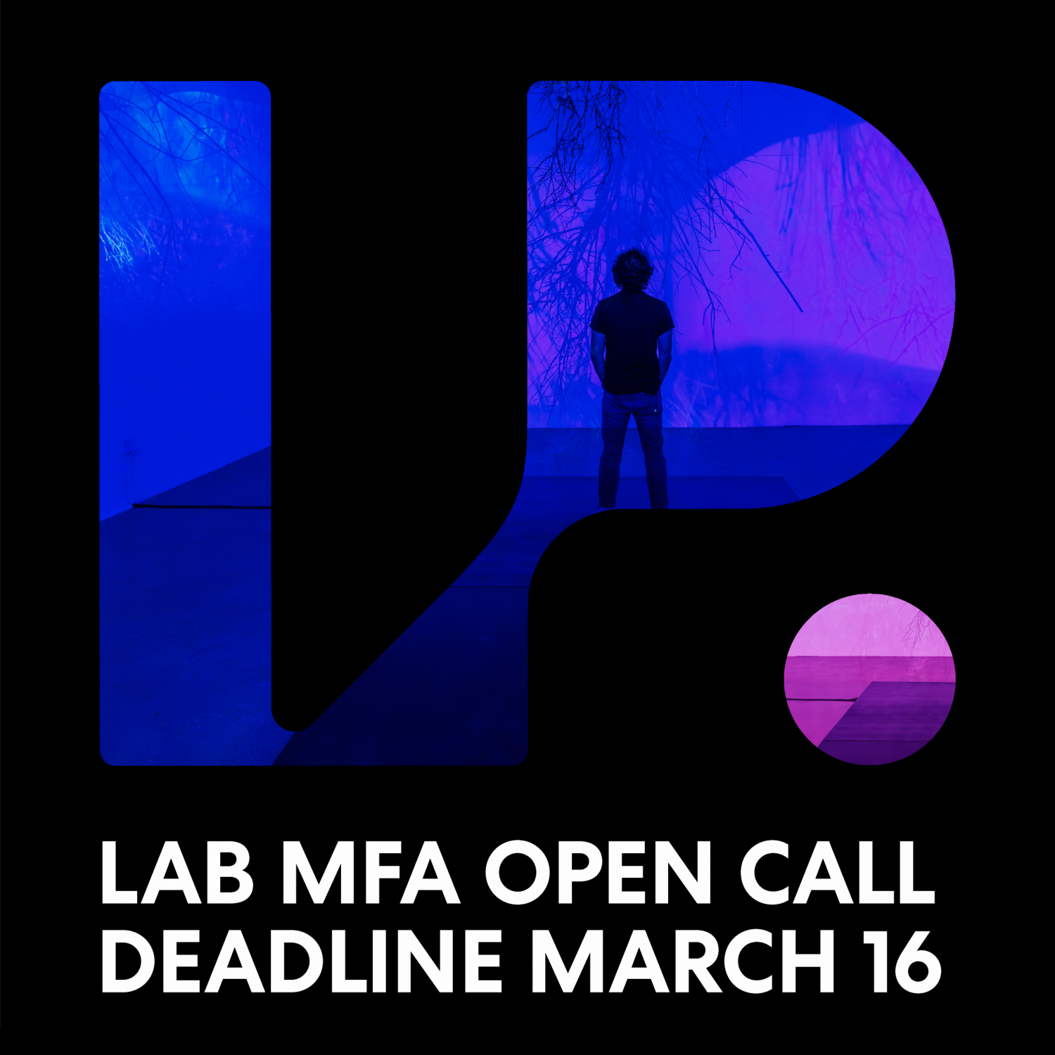 LAB MFA 2025 - Info Session